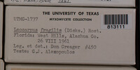 Image Associated With the Occurence